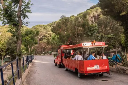 Camping Rocagrossa Mobile Home 6 people, Maison 6 personnes à Calella - Photo 26