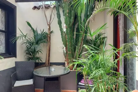 Apartamentos Monasterio de San Antonio 6, Maison mitoyenne indépendante réservée aux adultes - Photo 9
