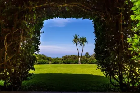 Villa Conte, Captivante villa à Ricadi avec piscine - Photo 33