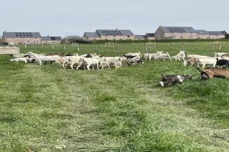 Au chant des grenouilles, Maison à Vodelée près des Lacs de l'Eau d'Heure - Photo 41