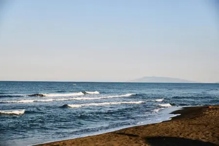 Lavanda, Ferme proche plages Montalto di Castro - Photo 35
