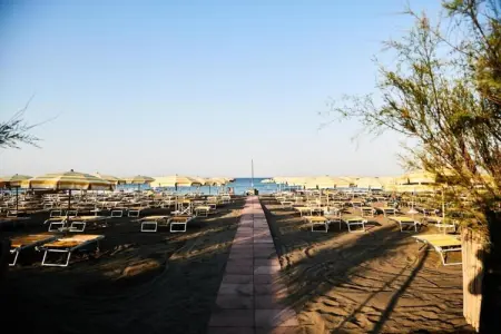 Lavanda, Ferme proche plages Montalto di Castro - Photo 37