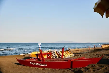 Lavanda, Ferme proche plages Montalto di Castro - Photo 38