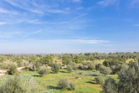 Ca Na Carme, Villa 8 personnes à Campos, Illes Balears - Photo 31