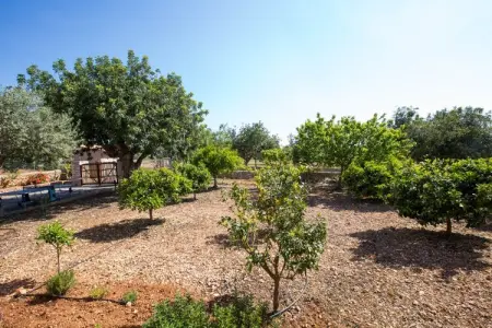 Can Marines, Villa 8 personnes à Calonge   Santanyi, Illes Balears - Photo 35