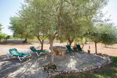 Can Marines, Villa 8 personnes à Calonge   Santanyi, Illes Balears - Photo 36