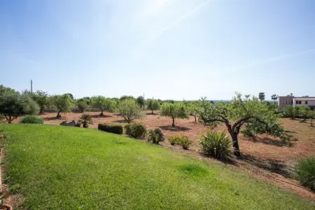 Can Marines, Villa 8 personnes à Calonge   Santanyi, Illes Balears - Photo 37