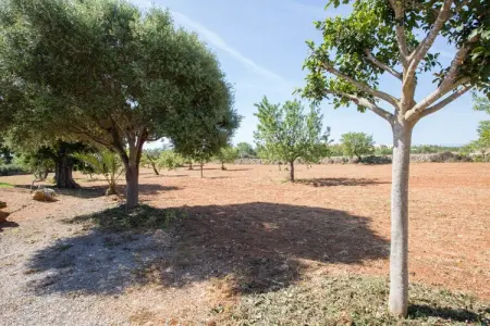 Can Marines, Villa 8 personnes à Calonge   Santanyi, Illes Balears - Photo 39
