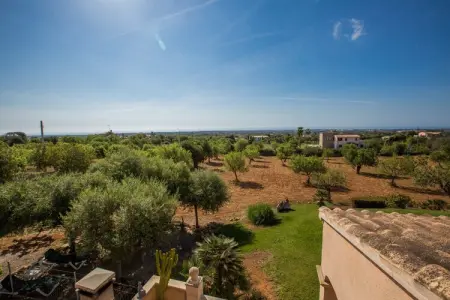 Can Marines, Villa 8 personnes à Calonge   Santanyi, Illes Balears - Photo 40