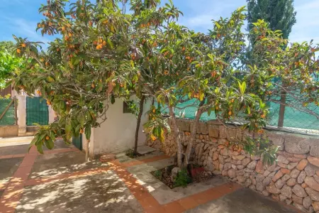 Son Blau, Villa 3 personnes à Llucmajor, Illes Balears - Photo 31