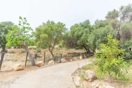 Son Orlandis, Villa 7 personnes à Puerto De Andratx (s´arraco), Illes Balears - Photo 42