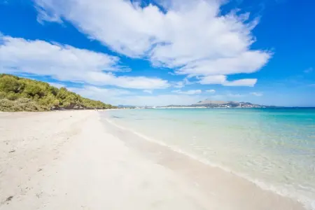 Sun Of The Bay I (b3 - A2), Appartement 4 personnes à Port D'alcudia, Illes Balears - Photo 20