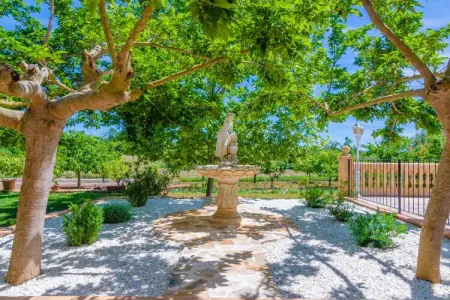 Sa Cova (cova De Rotana), Villa 6 personnes à Manacor, Illes Balears - Photo 29