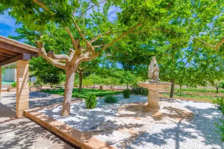 Sa Cova (cova De Rotana), Villa 6 personnes à Manacor, Illes Balears - Photo 30