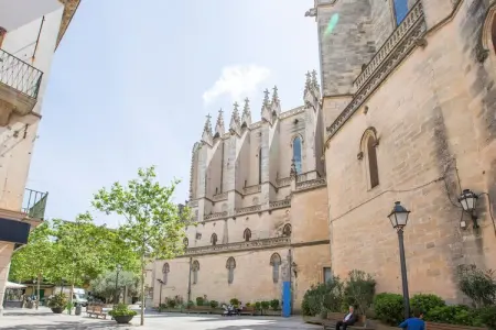 Sa Cova (cova De Rotana), Villa 6 personnes à Manacor, Illes Balears - Photo 34