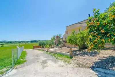 Villa à Manacor, Illes Balears, Es Pont Den Teulari Nou - N°1023082