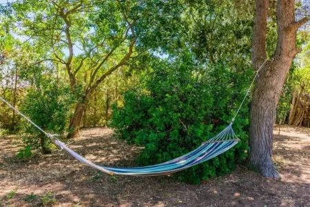 Casa Alba, Villa 6 personnes à Manacor, Illes Balears - Photo 28