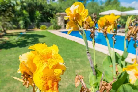 Casa Alba, Villa 6 personnes à Manacor, Illes Balears - Photo 34