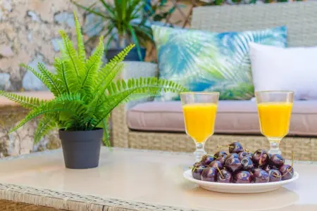 Can Damia, Maison 9 personnes à S'arracó (andratx), Illes Balears - Photo 40