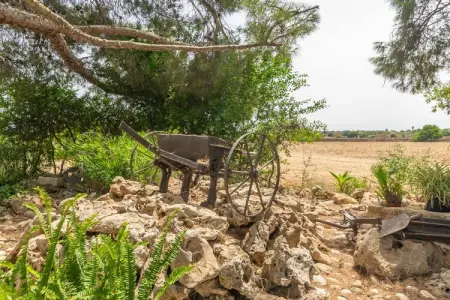 Can Ribas, Villa 8 personnes à Can Picafort, Illes Balears - Photo 46