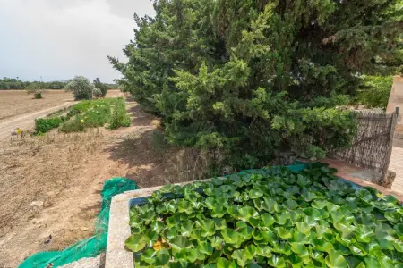 Can Ribas, Villa 8 personnes à Can Picafort, Illes Balears - Photo 47