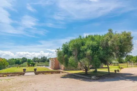 Son Morei De Ses Penyes, Villa 6 personnes à , Illes Balears - Photo 62