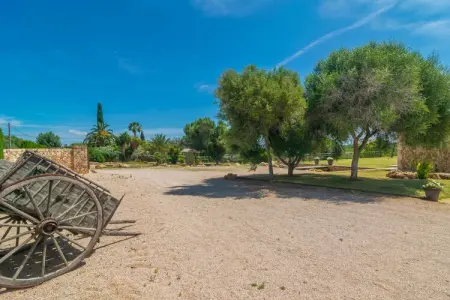 Son Morei De Ses Penyes, Villa 6 personnes à , Illes Balears - Photo 65