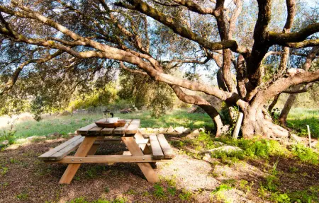 Bona Sort, Maison 6 personnes à Arta - Photo 4