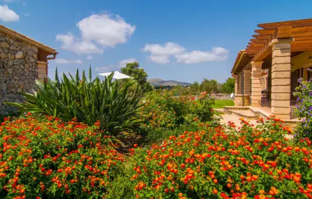 Casa Manolo, Maison 6 personnes à Arta - Photo 25