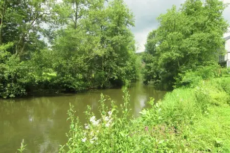 Gite du Viroin 1, Retraite au bord de la rivière Viroinval - Photo 18