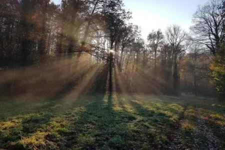 Gite du Viroin 1, Retraite au bord de la rivière Viroinval - Photo 23