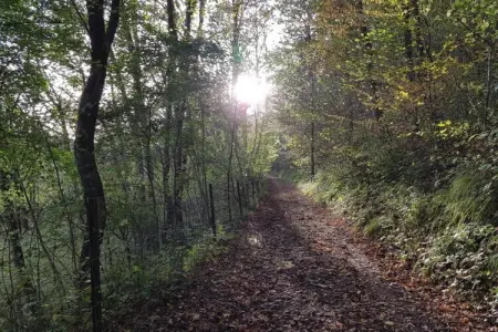 Gite du Viroin 1, Retraite au bord de la rivière Viroinval - Photo 24