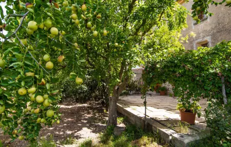 Ses Cases Noves, Maison 10 personnes à Maria de la Salut - Photo 31