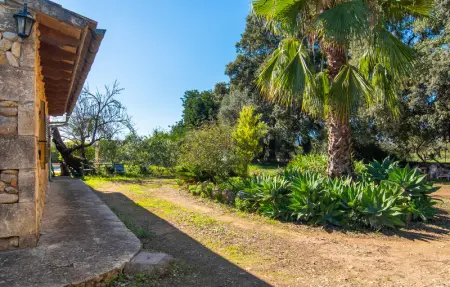 Sa Figuera Blanca, Maison 4 personnes à Buger - Photo 14