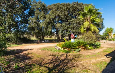 Sa Figuera Blanca, Maison 4 personnes à Buger - Photo 15