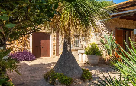 Sa Figuera Blanca, Maison 4 personnes à Buger - Photo 17