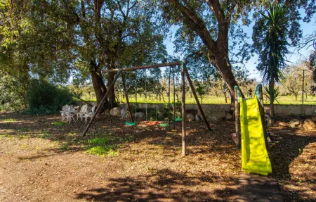 Sa Figuera Blanca, Maison 4 personnes à Buger - Photo 35