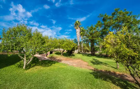 Cas Sineuer, Maison 6 personnes à Arta - Photo 19