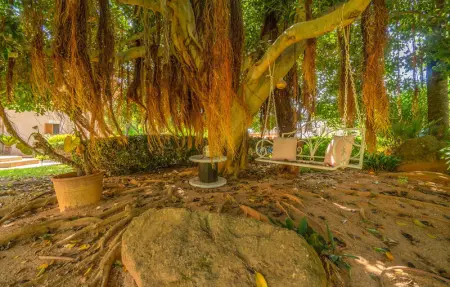 Elite Polo Dreams, Maison 12 personnes à Inca - Photo 20