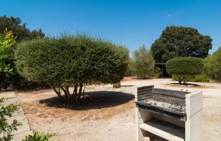 Sa Cantera, Maison 8 personnes à Algaida - Photo 19