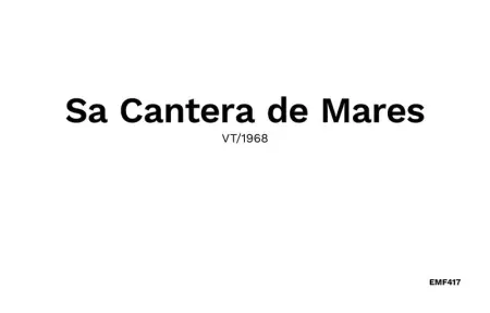 Sa Cantera, Maison 8 personnes à Algaida - Photo 35