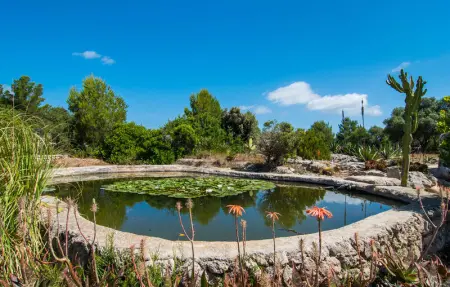 Son Catiu Solivent, Maison 4 personnes à Arta - Photo 19