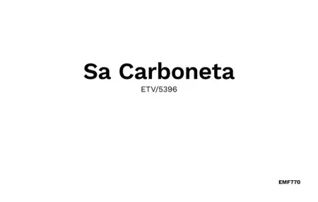 Can Carboneta, Maison 4 personnes à Arta - Photo 50