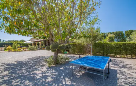 Comptesses Petit, Maison 6 personnes à Alcudia - Photo 31