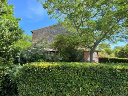 Falco, Appartement 5 personnes à Riparbella - Photo 42