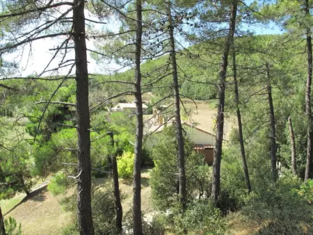 Falco, Appartement 5 personnes à Riparbella - Photo 45