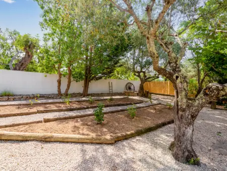 Quintal das Oliveiras, Maison 6 personnes à São Brás de Alportel - Photo 29