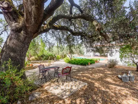Quintal das Oliveiras, Maison 6 personnes à São Brás de Alportel - Photo 30