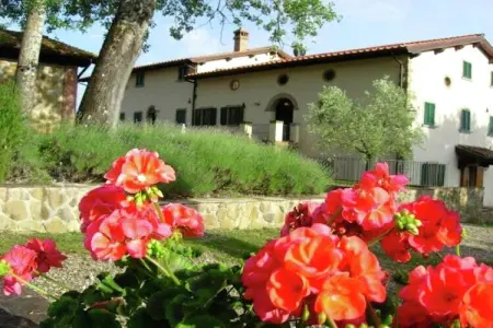 Il Ciliegio, Ferme à Poppi avec piscine et jardins - Photo 31