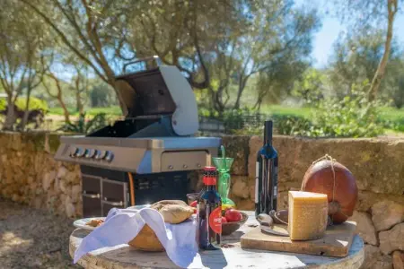 Can Pere Rapinya, Villa 6 personnes à Algaida, Illes Balears - Photo 3